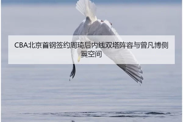 CBA北京首钢签约周琦后内线双塔阵容与曾凡博侧翼空间